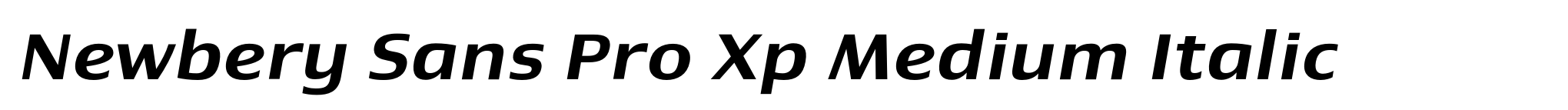 Newbery Sans Pro Xp Medium Italic image